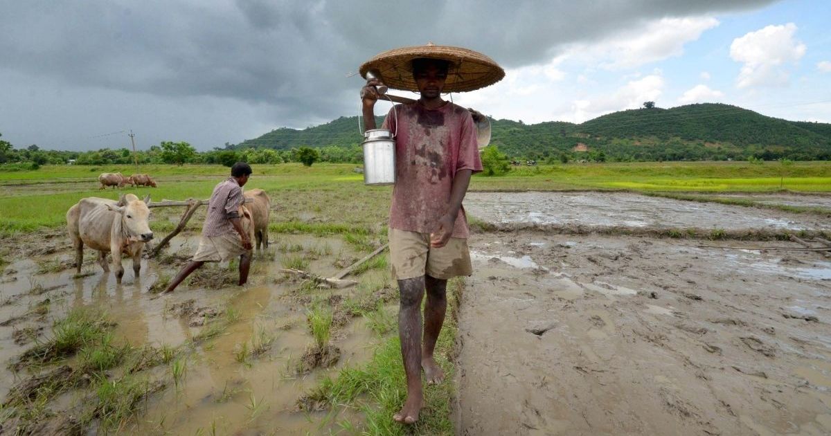মোদীৰ 'কৃষকৰ আয় দুগুণ কৰা’ অসাৰ প্ৰতিশ্ৰুতিৰ আঁৰৰ গোপন কাহিনী (২)