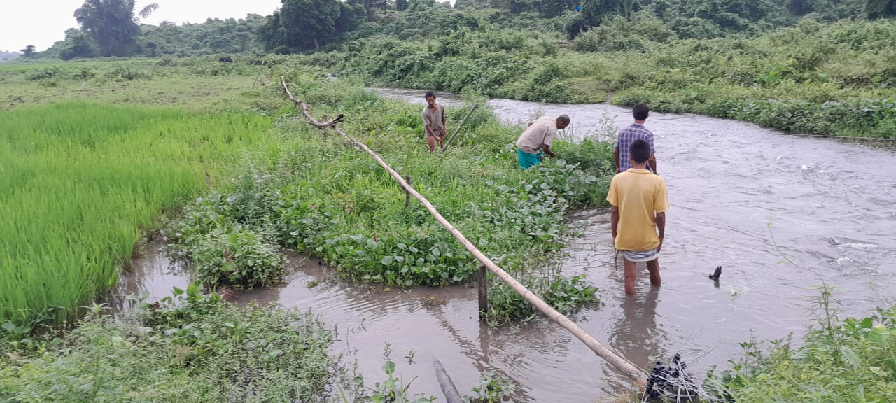 Aaranyak and WWF-India Collaborate to Mitigate Human-Elephant Conflict with Innovative Solar Fence in Raimona National Park