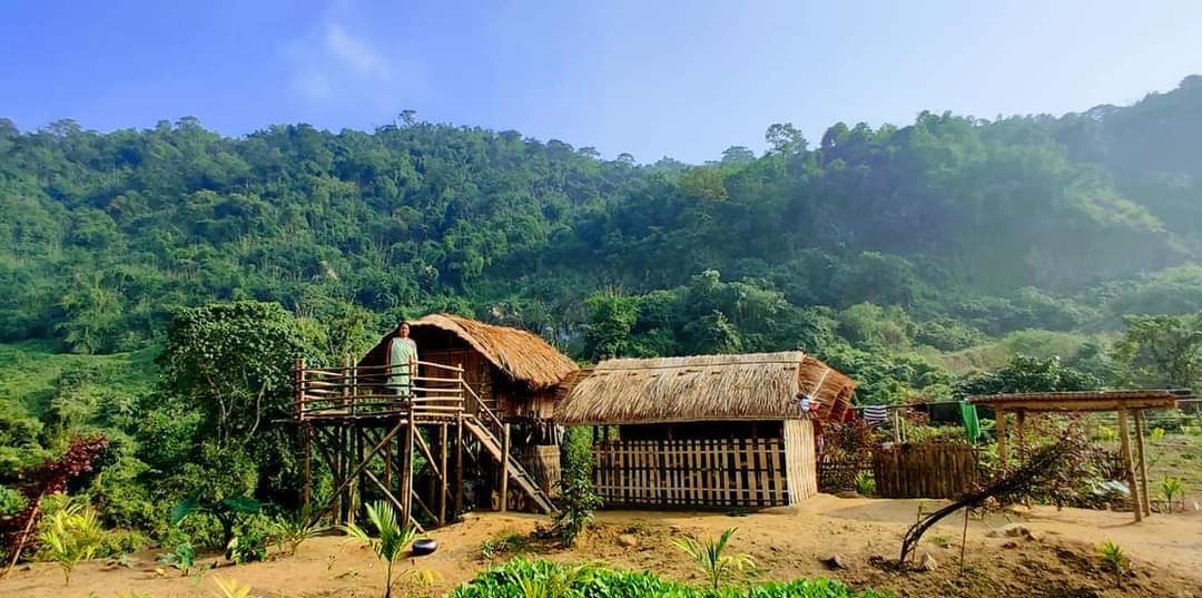 নতুন বন নীতিলৈ পিঠি মোদী চৰকাৰৰ (3)