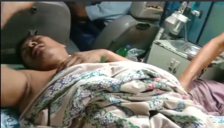 Bison Attack Leaves Four Injured, One Seriously, in Kokrajhar