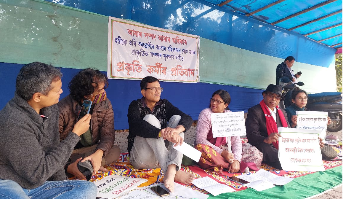 Conservationists Appeal to President to Halt Elephant Transfers from Northeast