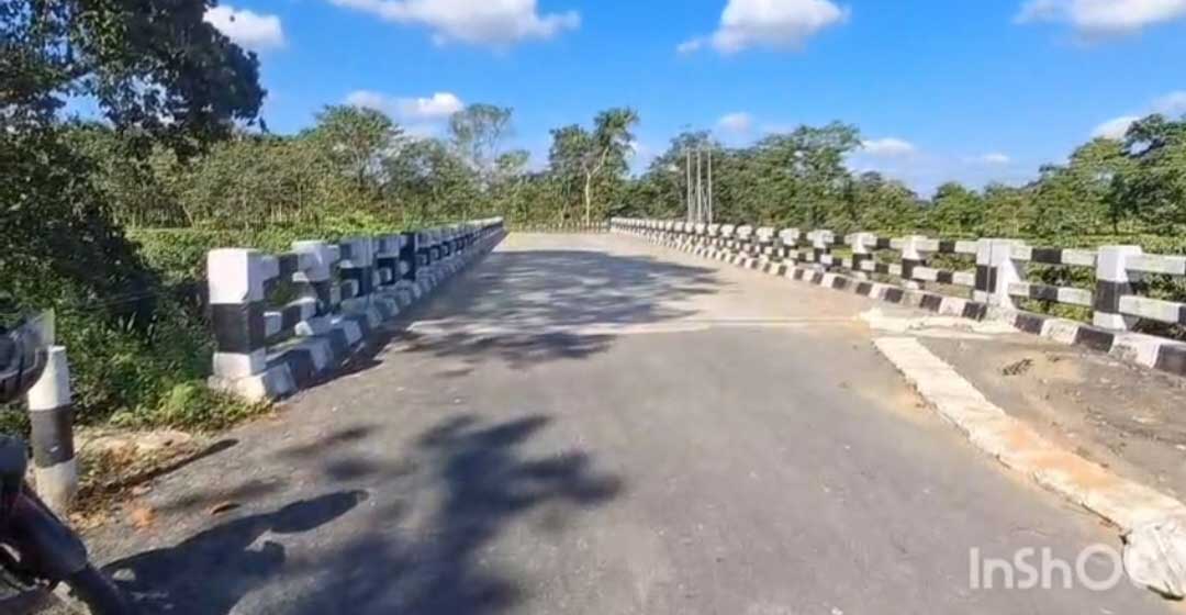 Fida Ali Bridge in Sonari Raises Safety Concerns