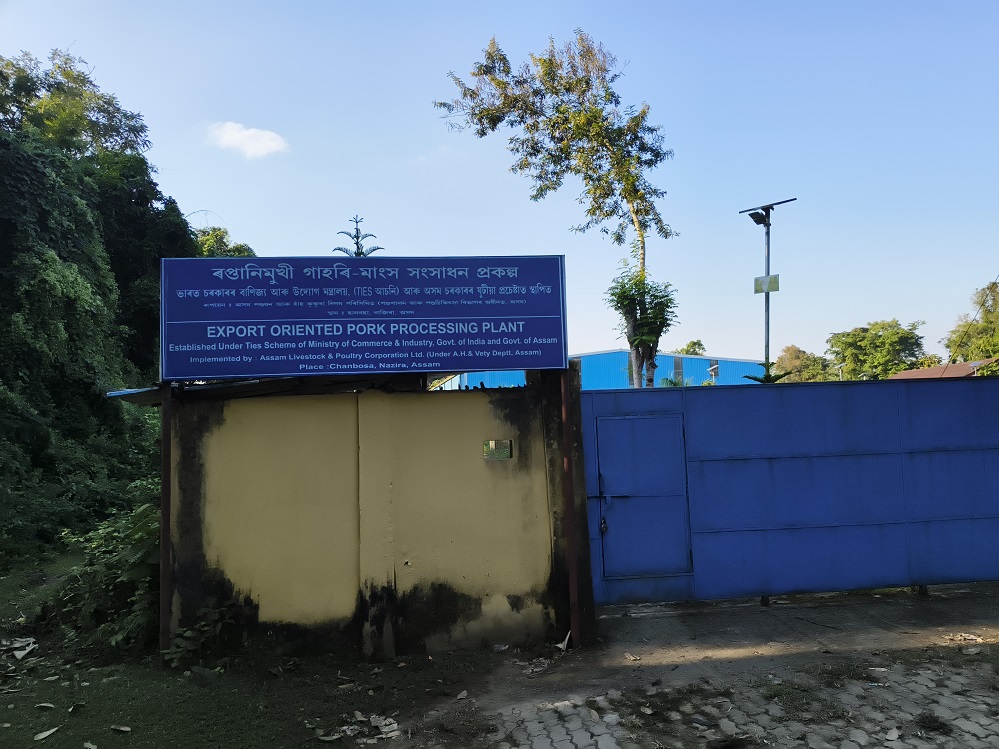 Nazira’s ₹11.44-crore Pork Processing Plant Turns White Elephant