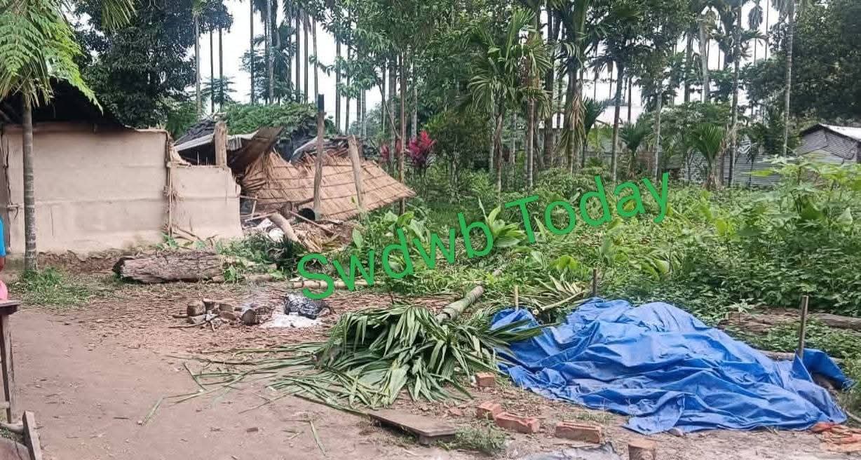 Elephant Damages Two Houses in Kokrajhar Village