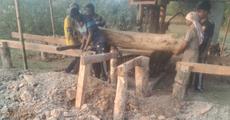 Over 20 Illegal Sawmills Reportedly Operating Across Sivasagar, Charaideo