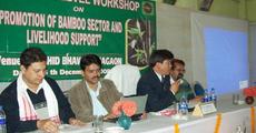 State-level workshop on bamboo sector