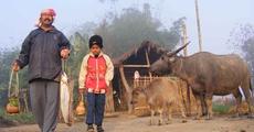 Magh Bihu preparation