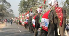 Elephant Festival 2009