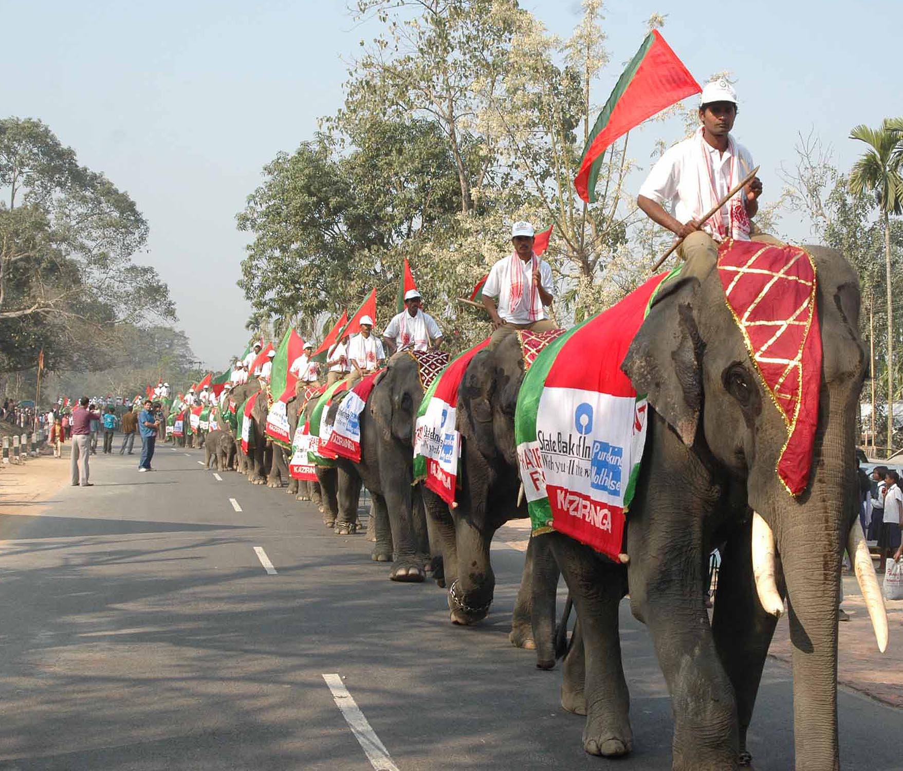 Elephant Festival 2009