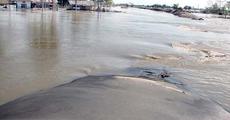 Assam flood situation remains grim