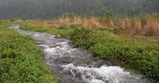 International wildlife delegation visits Jalimukh in Khalingduar Reserve Forest