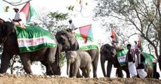Forest Minister inaugurated 8th Elephant Festival