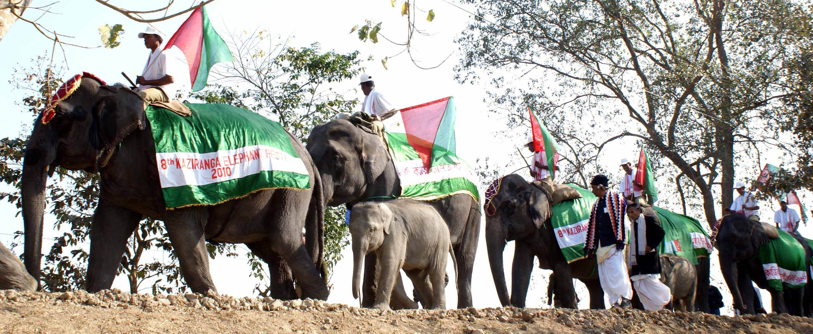 Forest Minister inaugurated 8th Elephant Festival