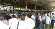 Countdown starts for BTC election in Udalguri district