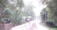 Majuli Majuli