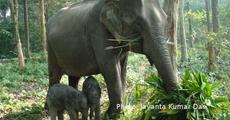 Alka creates history by giving birth twin in Orang NP