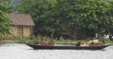 Assam flood turns catastrophic