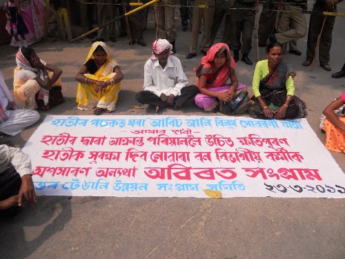 Fight for justice from the street