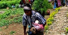 Plantation, conservation of forest stressed by EM at Jatinga
