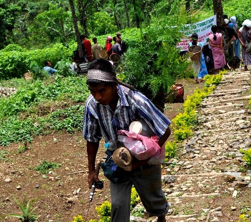 Plantation, conservation of forest stressed by EM at Jatinga