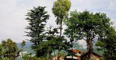 Documentary on  Nagaland -  Journey through the choir of clouds
