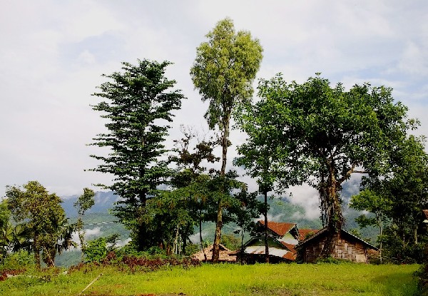 Documentary on  Nagaland -  Journey through the choir of clouds