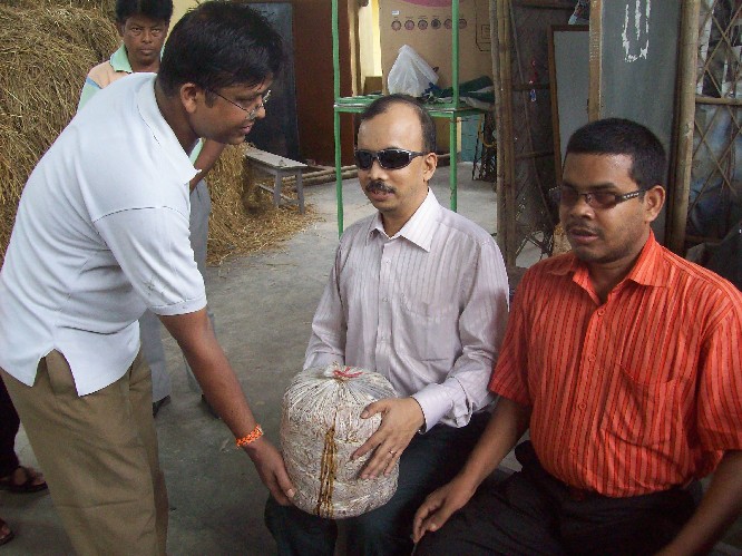Mushroom Cultivation brings a new hope for the blind