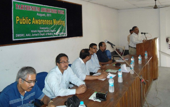Parthenium awareness programme organized at Nagaon