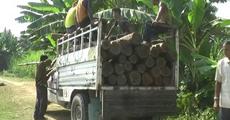 Intensive operation launched by Bakaliaghat forest, opened fire in blank