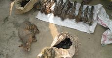 Traditional hunting poses serious threat to ecology in Udalguri district