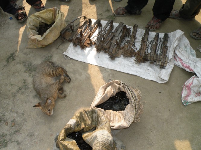 Traditional hunting poses serious threat to ecology in Udalguri district