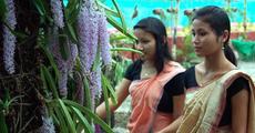 Bihu festivities grip Rong Ghar premises