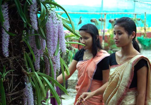 Bihu festivities grip Rong Ghar premises