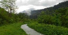 Problems of Khalingduar RF and Bornadi WLS discussed