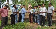 Dima Hasao EM distributes seedling
