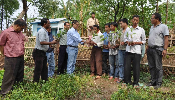 Dima Hasao EM distributes seedling