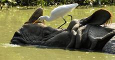 Need for biodiversity conservation