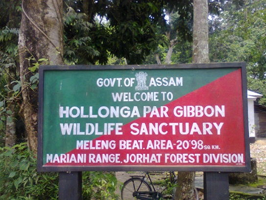 Enchanting Hoollongapar Gibbon Wildlife Sanctuary
