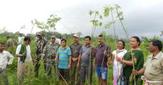 30 thousand tree planted near India-Bhutan border