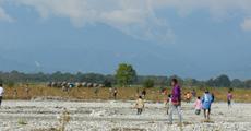 Chasing away wild elephants near Indo-Bhutan border