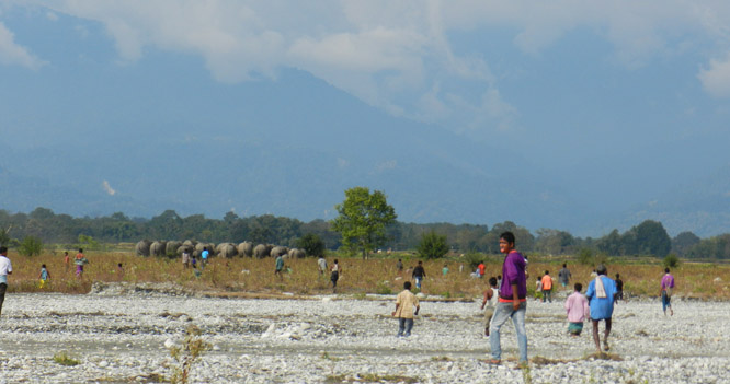 Chasing away wild elephants near Indo-Bhutan border