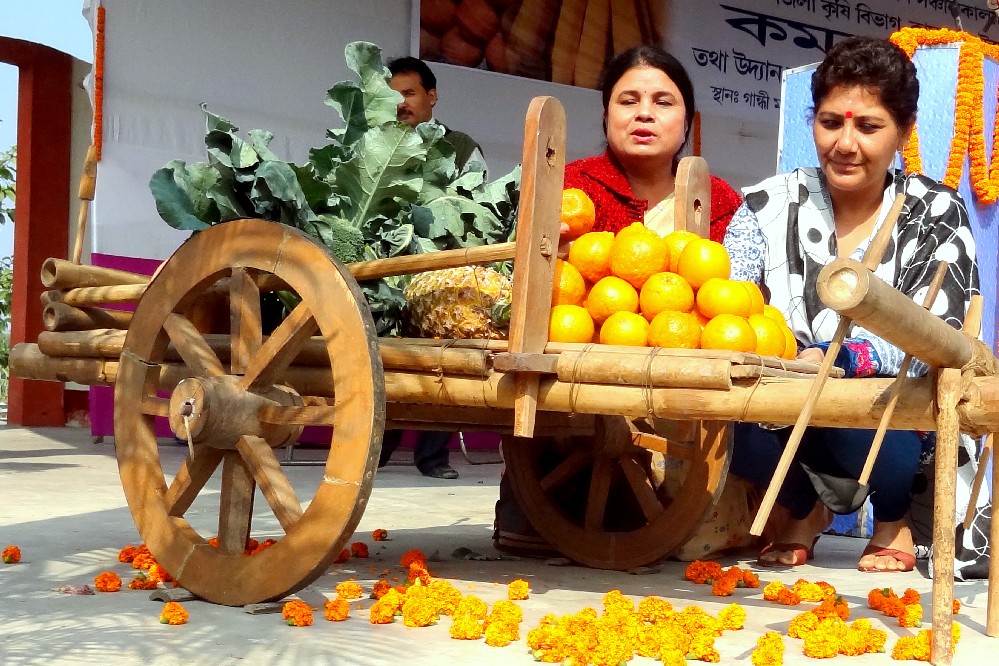Crowd throngs at Orange Fair held at Boko