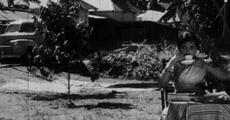 NFAI restores 9th Assamese film Runumi