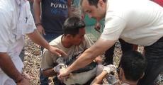 Endangered Greater Adjutant stork  released