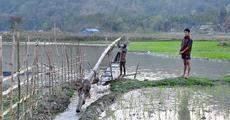 Assam photographer wins ICIMOD award