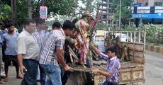 Guwahati clean up steps by NGO