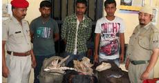 Agaru smugglers nabbed
