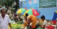 Pacholi Mela held