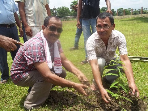 Bon-mavotsav at Kalaigaon