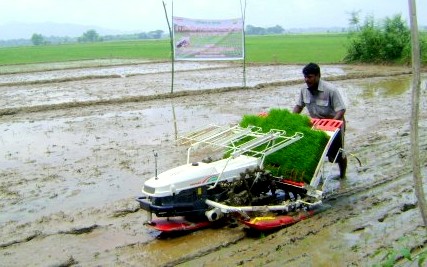 Mechanized paddy plantation at Mirza
